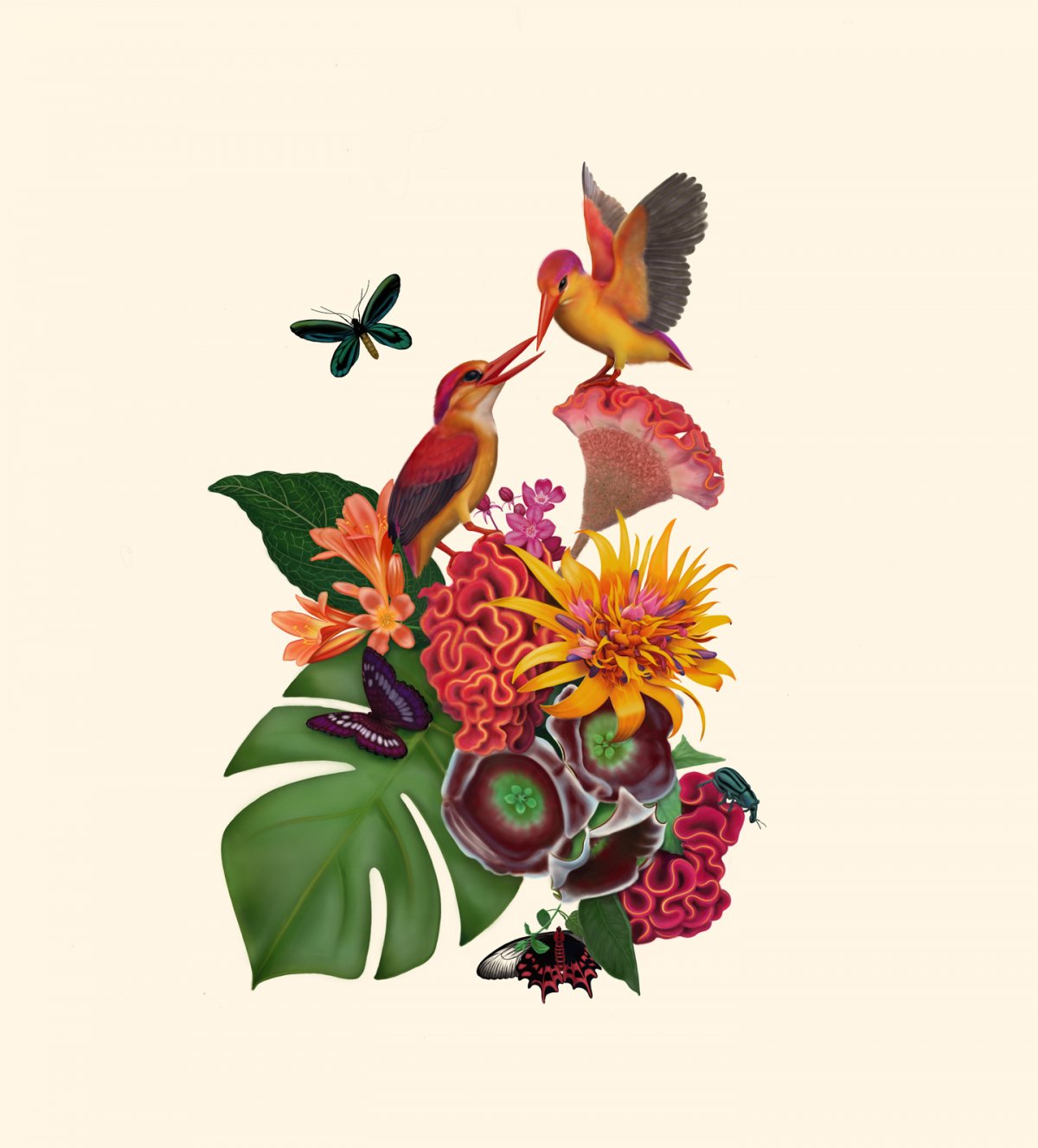 Illustrating nature through its details