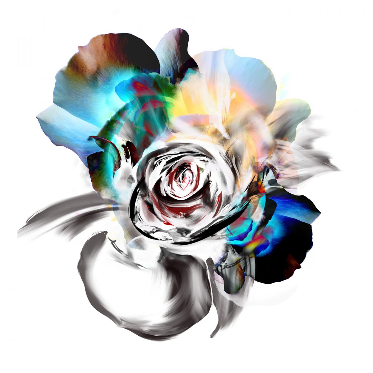 Cultivating a different kind of rose