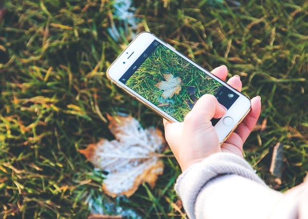 Toto sú najkrajšie fotky roku 2016 fotené iPhonom