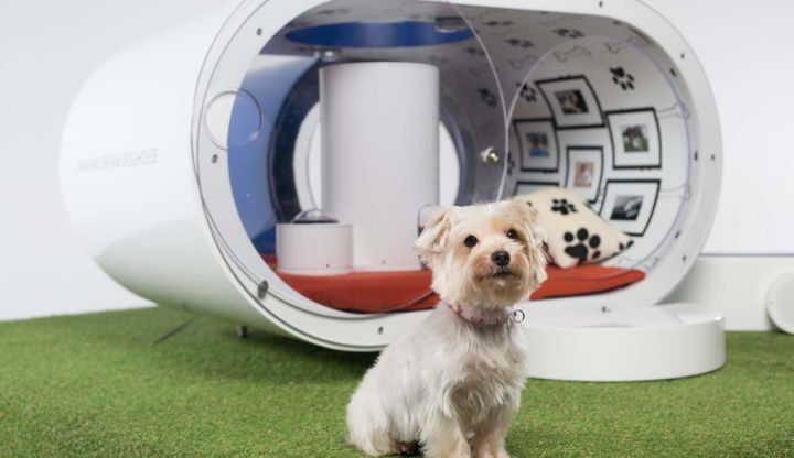 Samsung vyrába už aj búdy pre psov. Rozšíri Apple svoj sortiment?