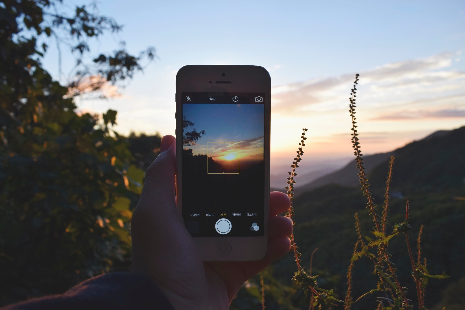 Tieto fotky patria medzi najkrajšie, fotené na iPhone